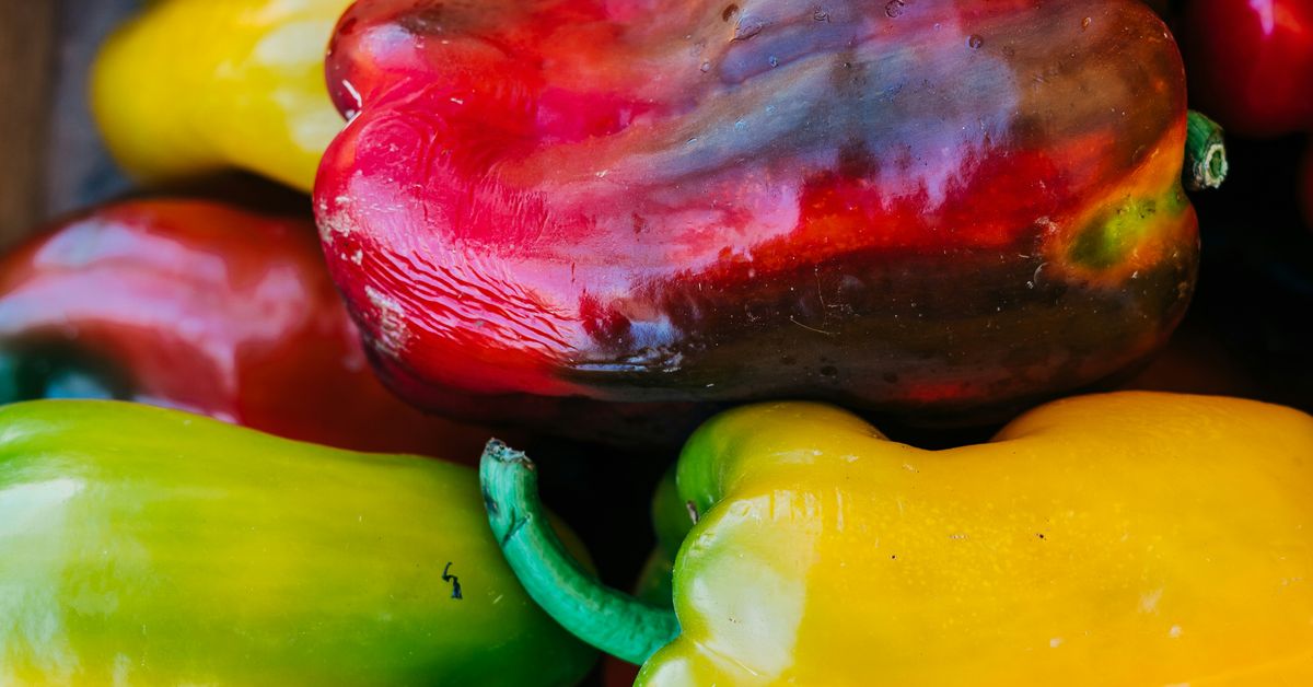 Colorful Stuffed Peppers Recipes Delicious Appetizers