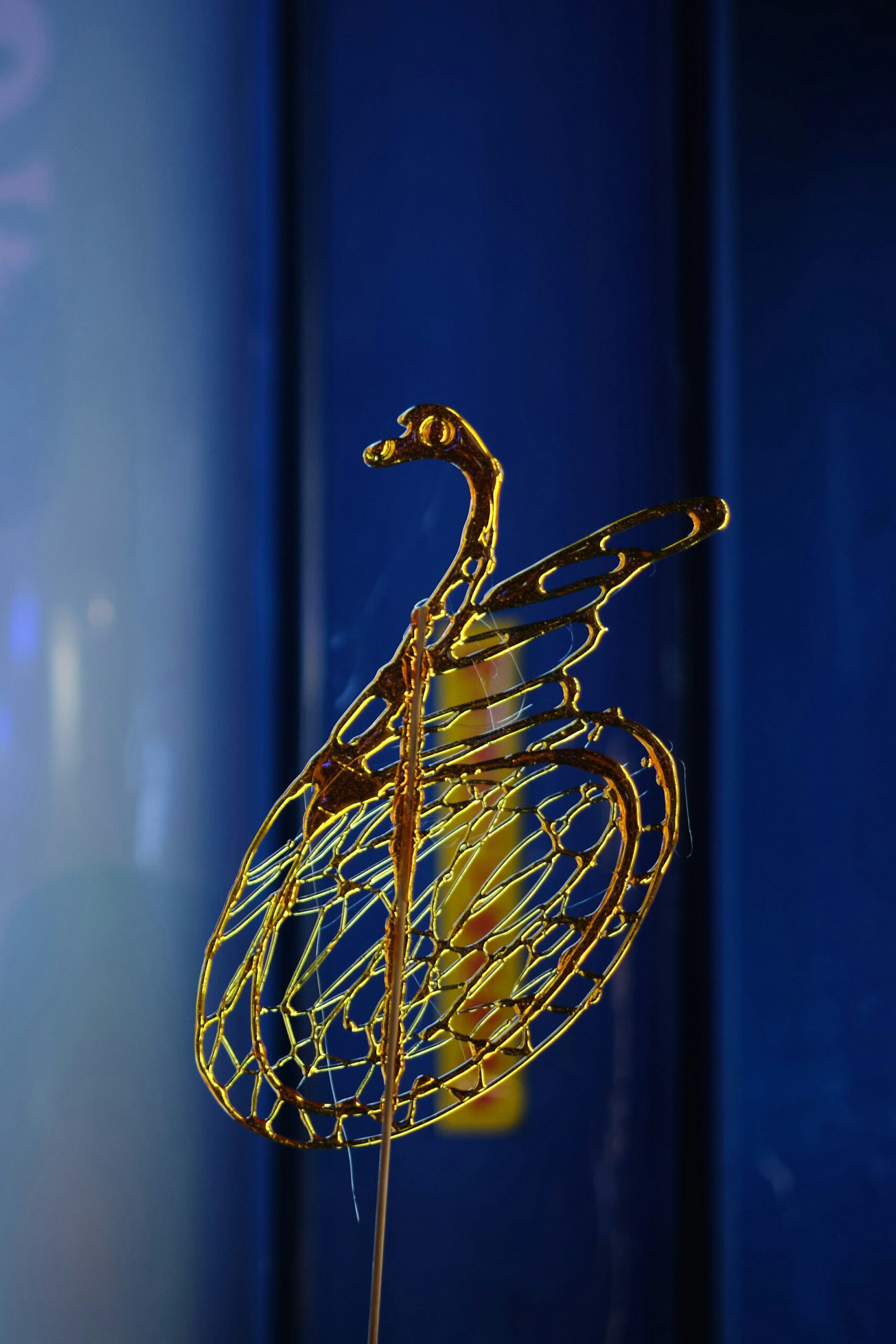 Achievements of Paralympic Athletes Inspiring Journeys