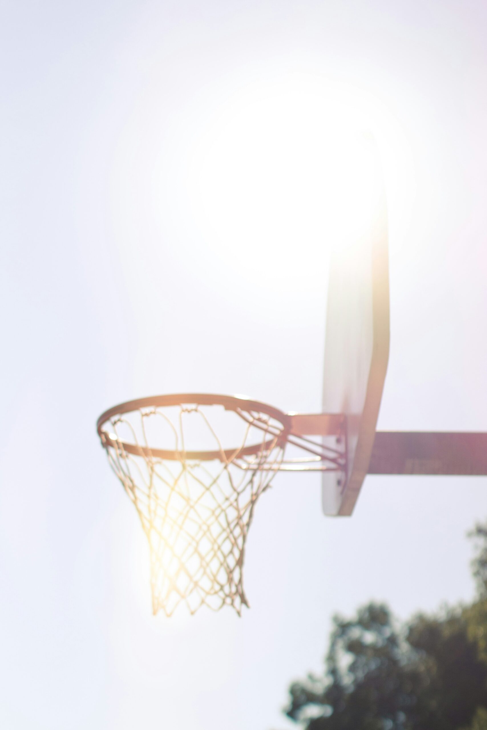 College Athletes Balancing Academics and Sports Success Stories